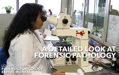  Forensic Pathology - An Exquisite Exploration of Death and the Whispers it Leaves Behind