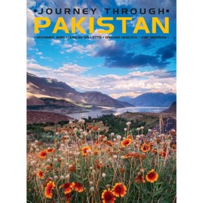  Quest for Success: A Journey Through Pakistan's Professional Landscape!